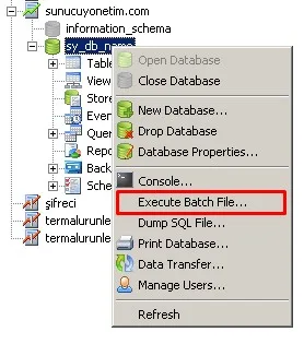 Mysql veritabanı geri yükleme restore — Mysql veritabanı geri yükleme, Veri tabanımızı zaten mysql veritabanı nedir? Yaz
